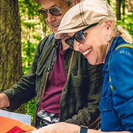 Tourists in a forest with a map